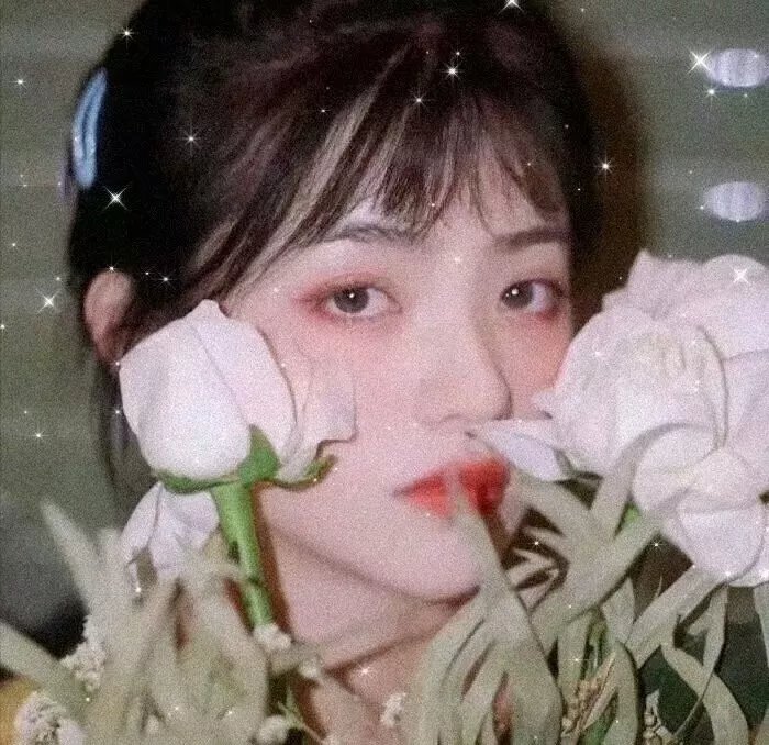 圣殿情梦